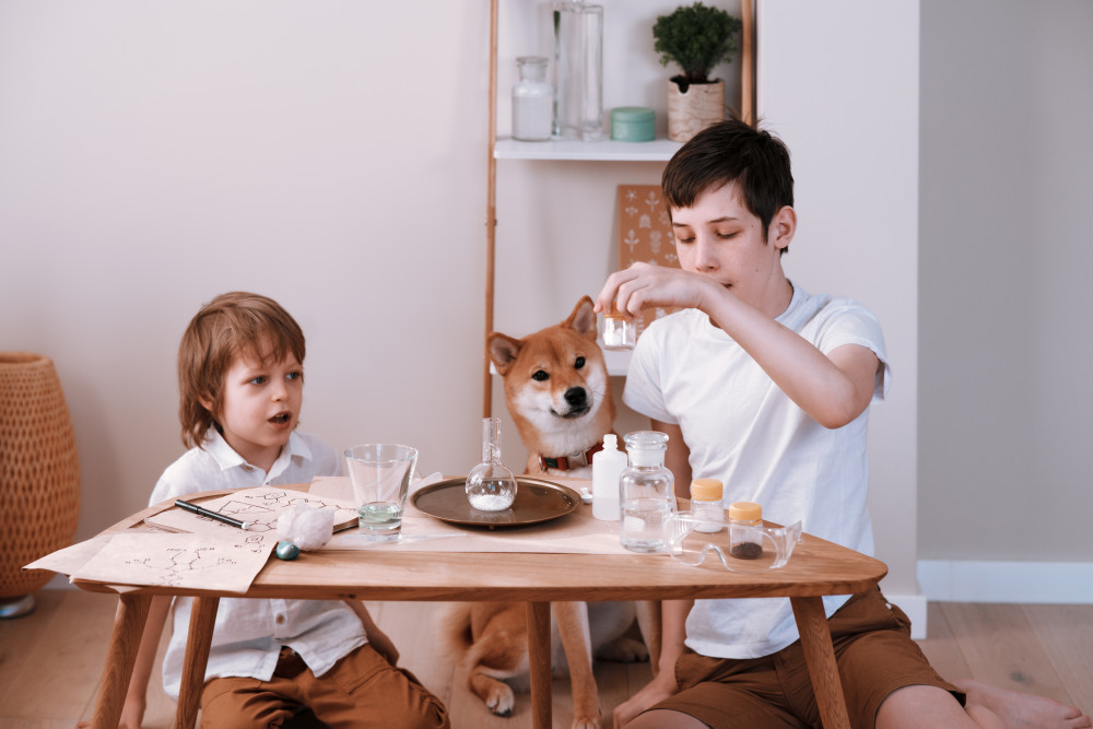 Sortir de l'indivision entre frère et sœur : comment faire les choses dans les règles