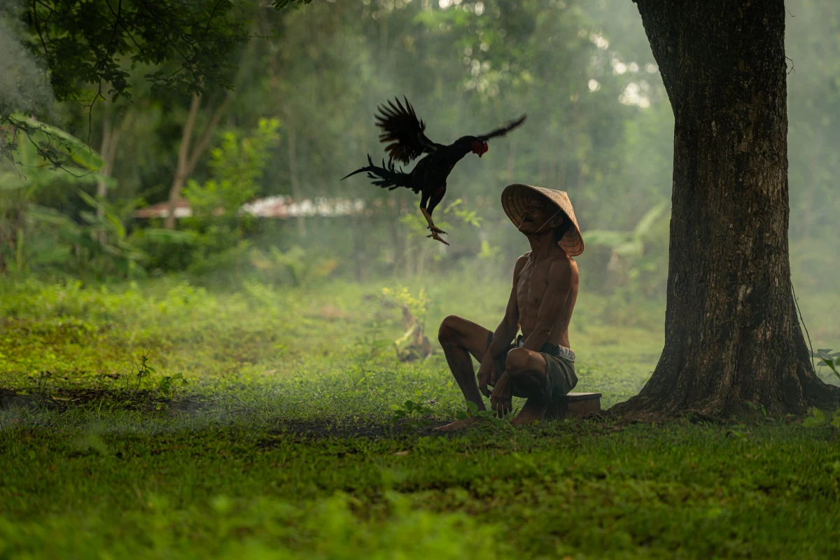 Le Rêve Champêtre : Votre Nouvelle Vie à la Campagne